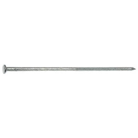 MAZE NAILS Maze Nails H530A 60D 6 in. Oil Quenched Hardened Ring Shank Polebarn Nail - 50 lbs. 540401